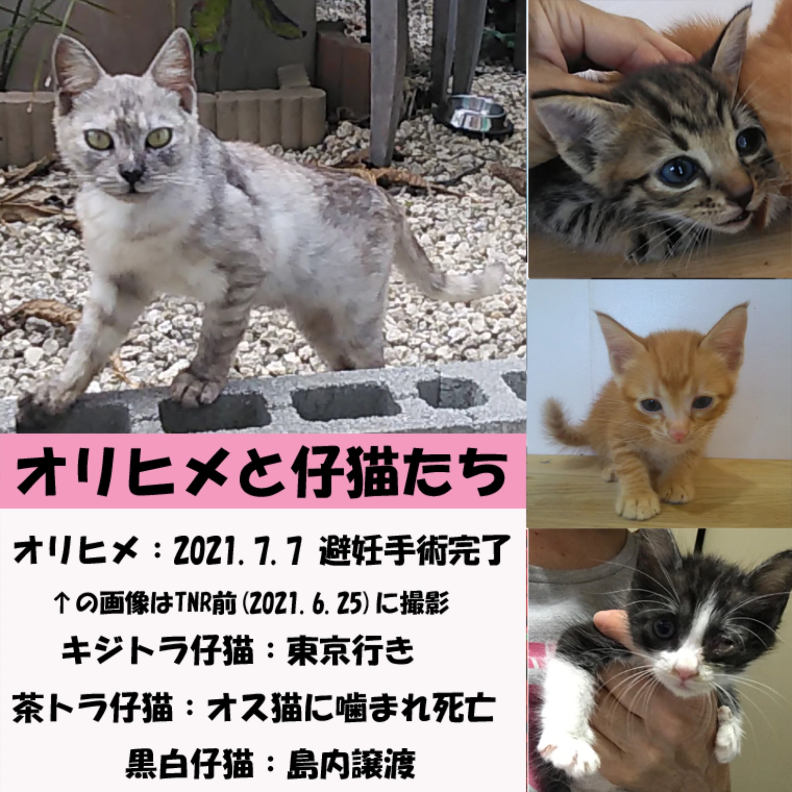 挿絵